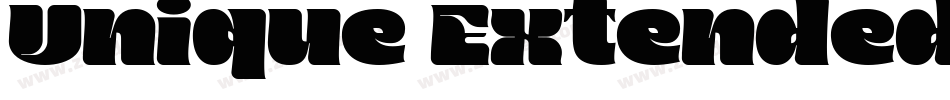 Unique Extended BOLD字体转换
